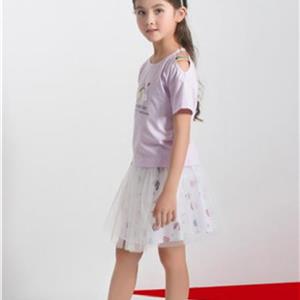 诺贝达公司前身是什么？