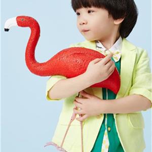 阿杰邦尼童装男童夏装休闲短裤供应