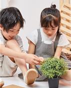 DC KIDS童装产品图片