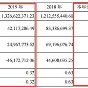 “二孩”政策利好奠定基础 安奈儿2019年营收13.27亿元