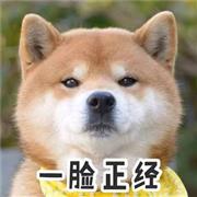看看人家的上学装备！班队长童鞋这才是标配！
