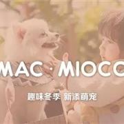 MACMIOCO：趣味冬季︱新添萌宠