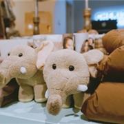 与贝贝睿亲一起开启元气满满的夏日 简单独特