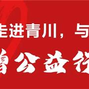 “蒂萨纳青川行，与爱同行”