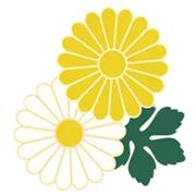 KICCOLY夏上新，带宝贝畅游完美夏日