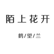 森虎儿童装：没有比天堂鸟更飞扬的花