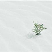 123童装|这样的牛仔裤不香吗？