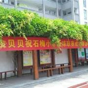 穿起瓢虫贝贝童装，开启“足球小将”模式