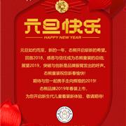 态熊童装祝大家元旦快乐!