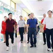 安庆市副市长戴钦公等领导莅临卡尔菲特