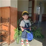 夏日炎炎 哈沐新品闪耀来袭