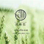 潮童外套推荐 秋天就该这么穿