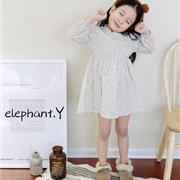 你家门口的宝贝衣橱，来自elephant.Y