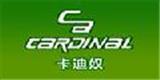 卡迪奴童装