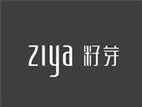 籽芽童装