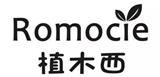 植木西童装