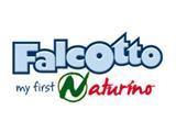FALCOTTO童装