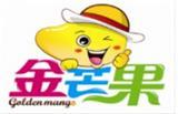 金芒果童装