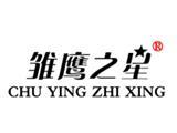 雏鹰之星童装