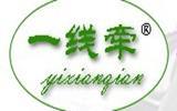 一线牵童装品牌
