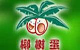 椰树蛋童装