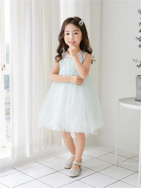 (图1)