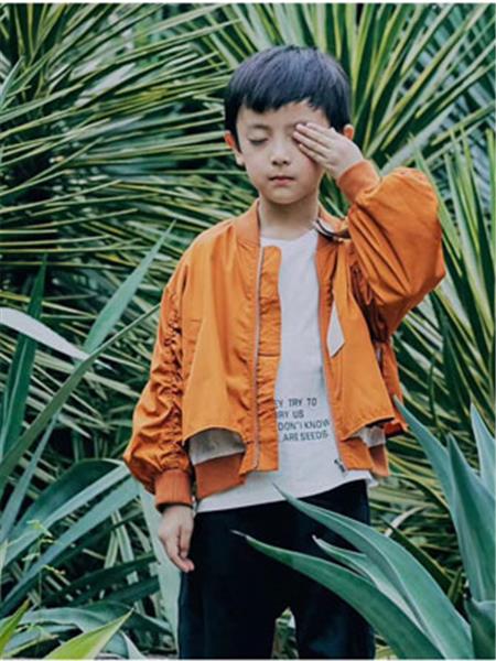 (图1)