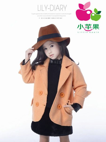 (图1)